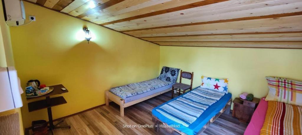 Hostel Horgos Centar Exteriér fotografie